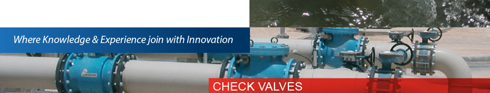 Check Valves